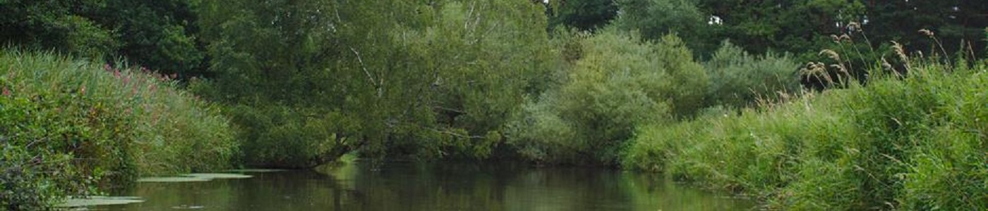 Ilmenau_a_1400.jpg