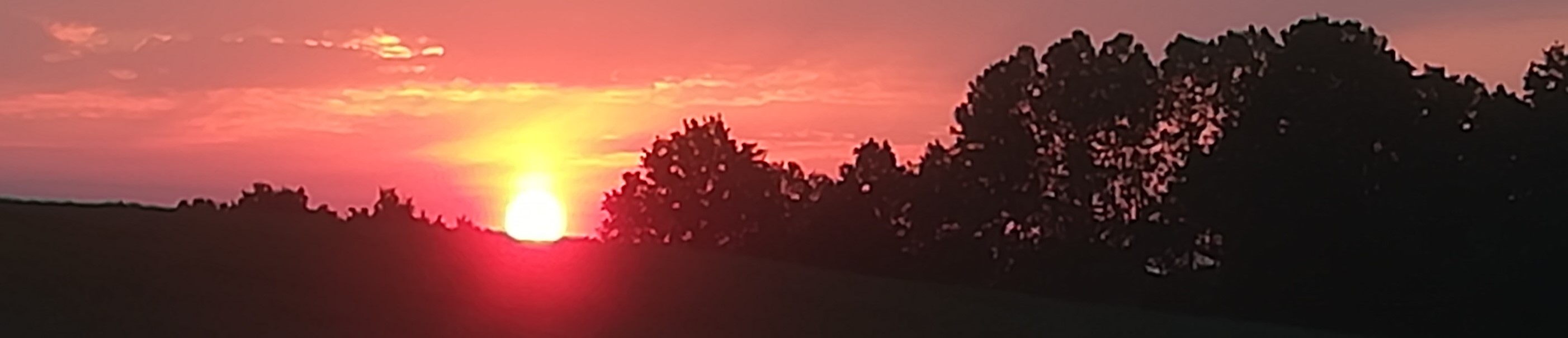 sonnenaufgang_fried_.jpg